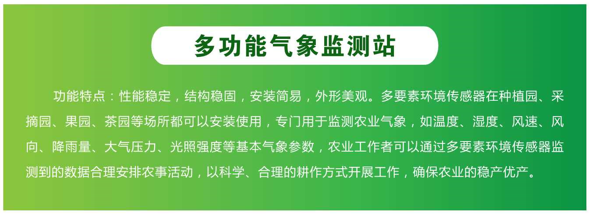 多功能氣象監(jiān)測(cè)站